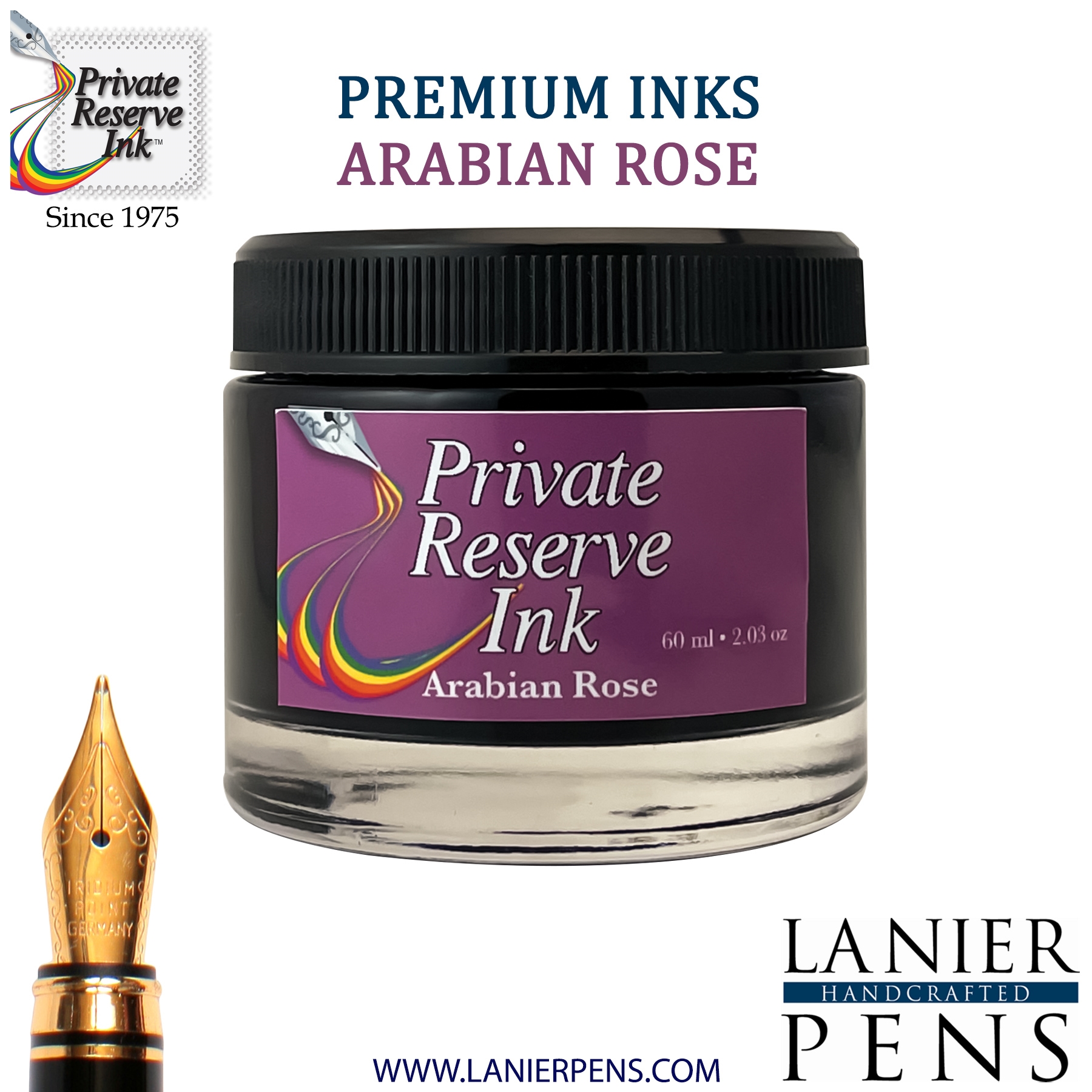 Arabian Rose